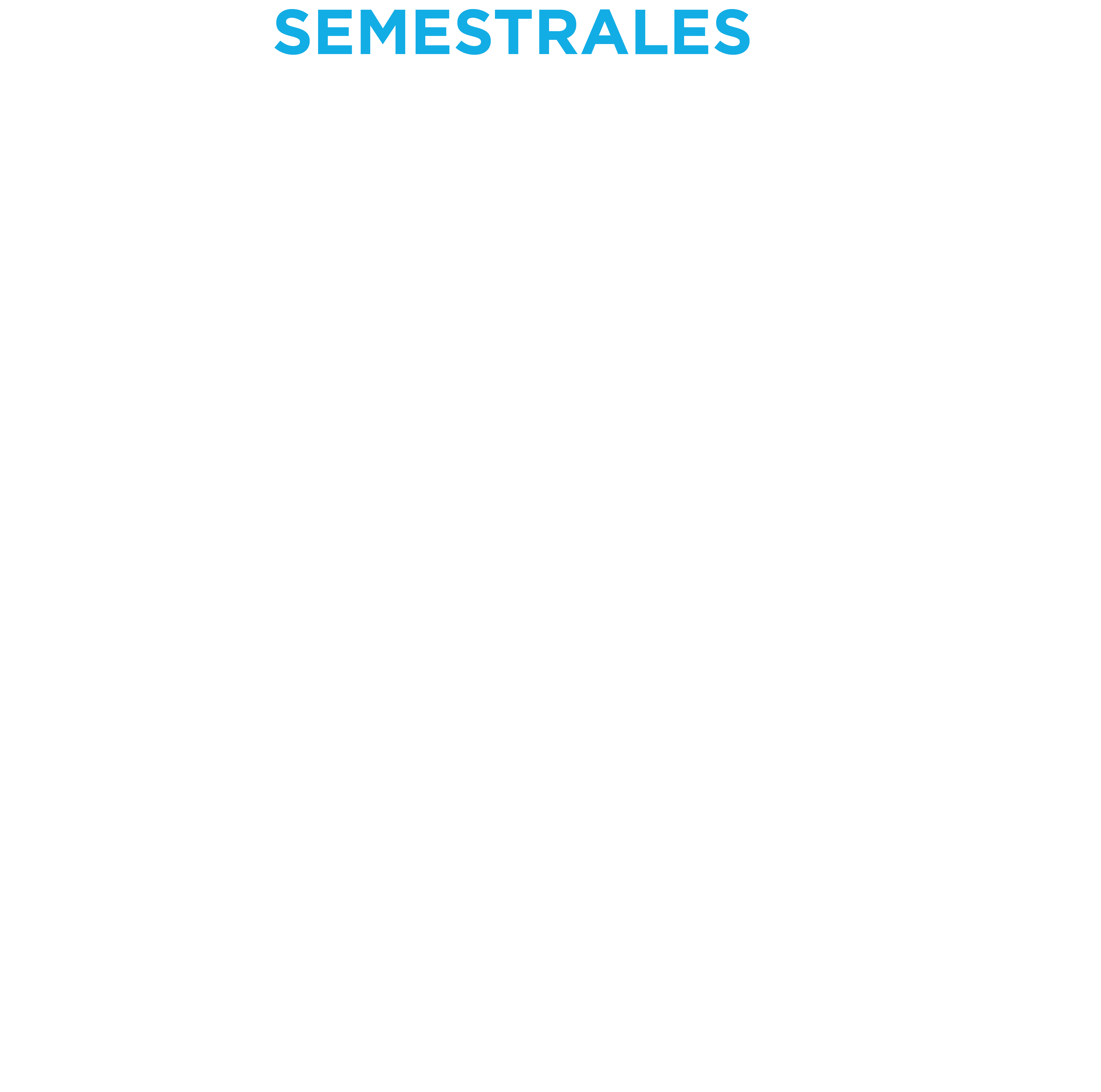 Skills Semestrales Oferta